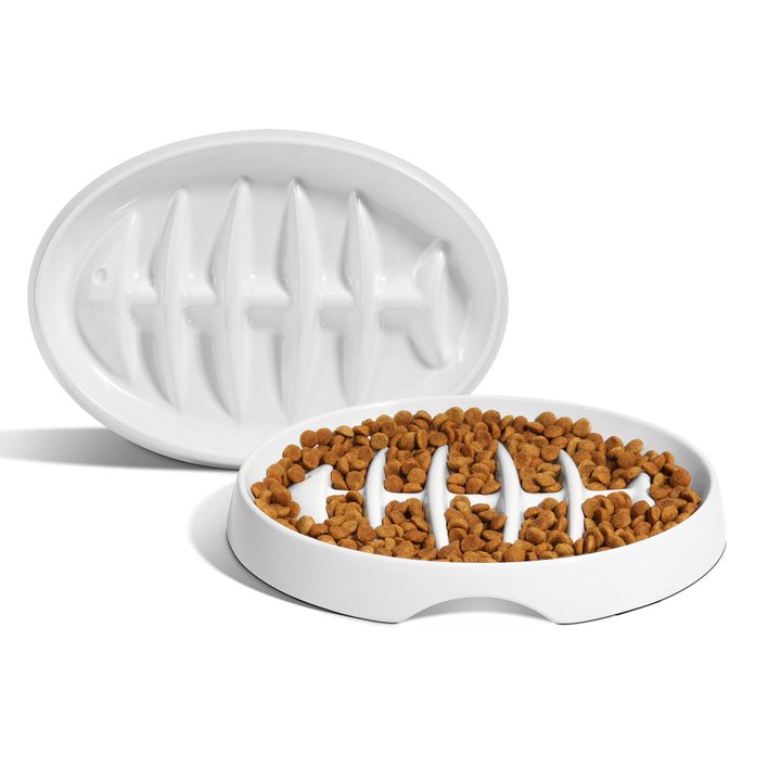 White ceramic oval pet bowl with a raised fishbone ridge pattern inside, filled with kibble.
