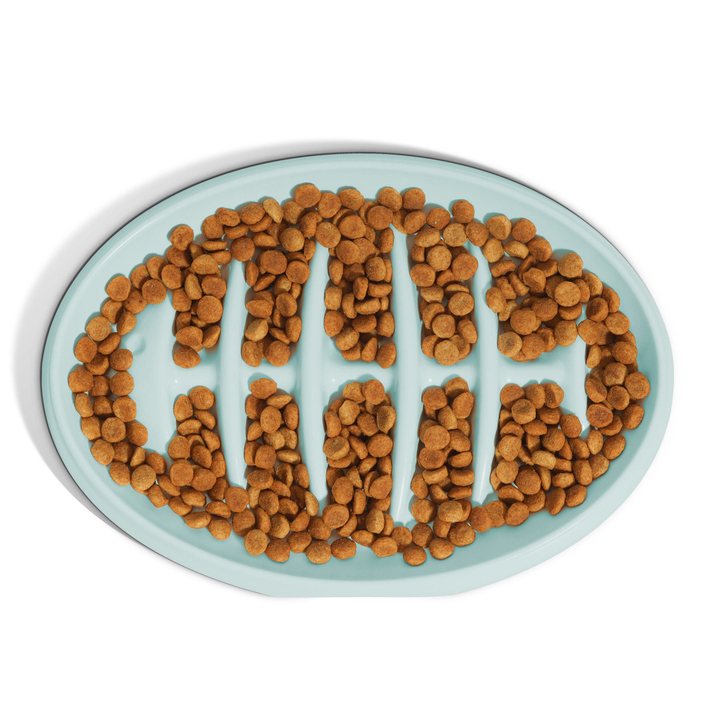 Pale mint oval ceramic pet bowl with a raised fishbone ridge pattern inside, filled with kibble.