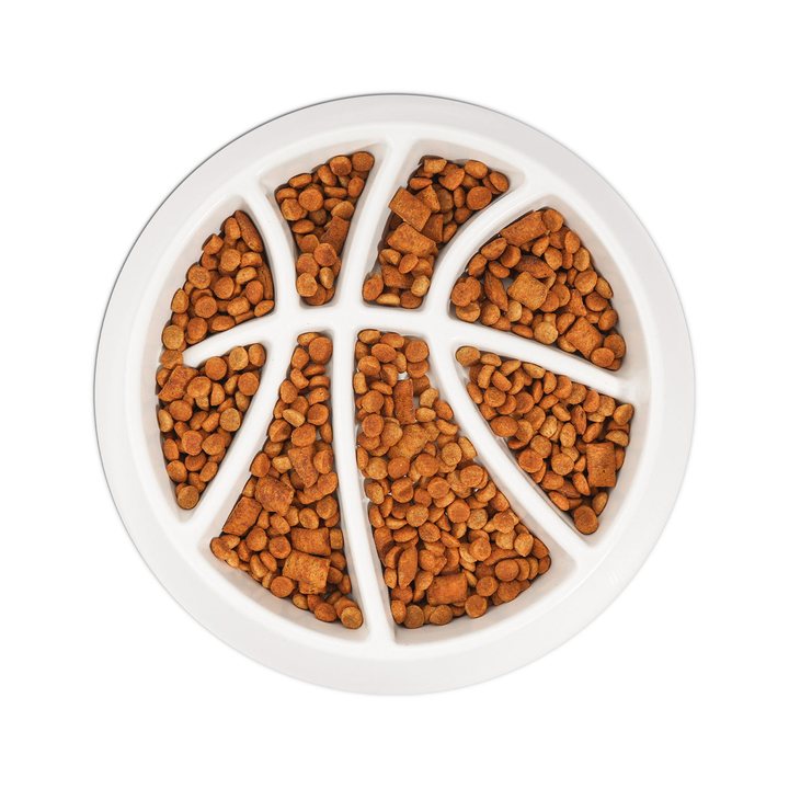 Round slow-feeder pet bowl with raised basketball-style segments, shown from above filled with kibble.