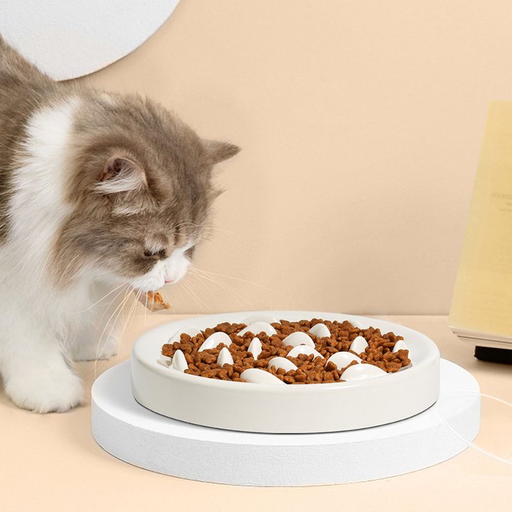 Planet-themed slow feeder bowl on a raised stand, filled with kibble