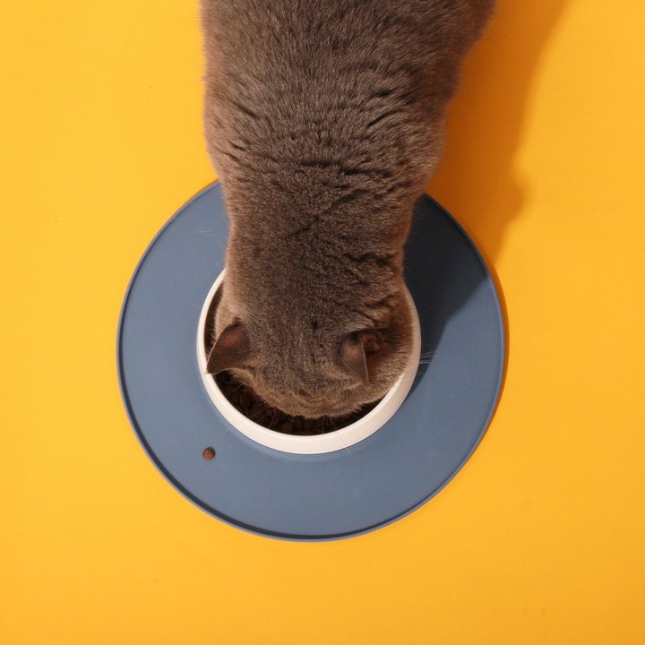 White ceramic pet bowl filled with kibble on a round blue-grey silicone mat, photographed from above with a cat eating from it against a bright orange background.