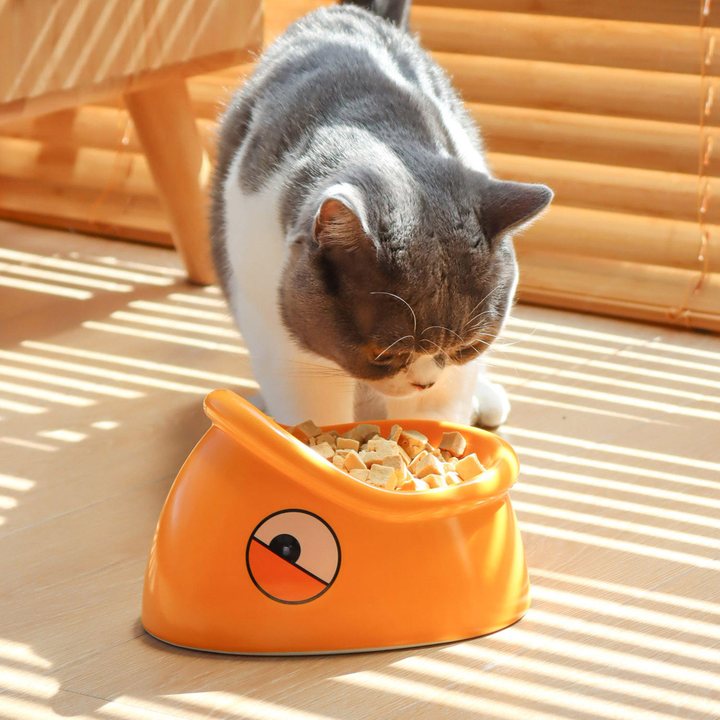 Orange ceramic pet bowl with a slanted fish-mouth-shaped opening, shown with a cat.