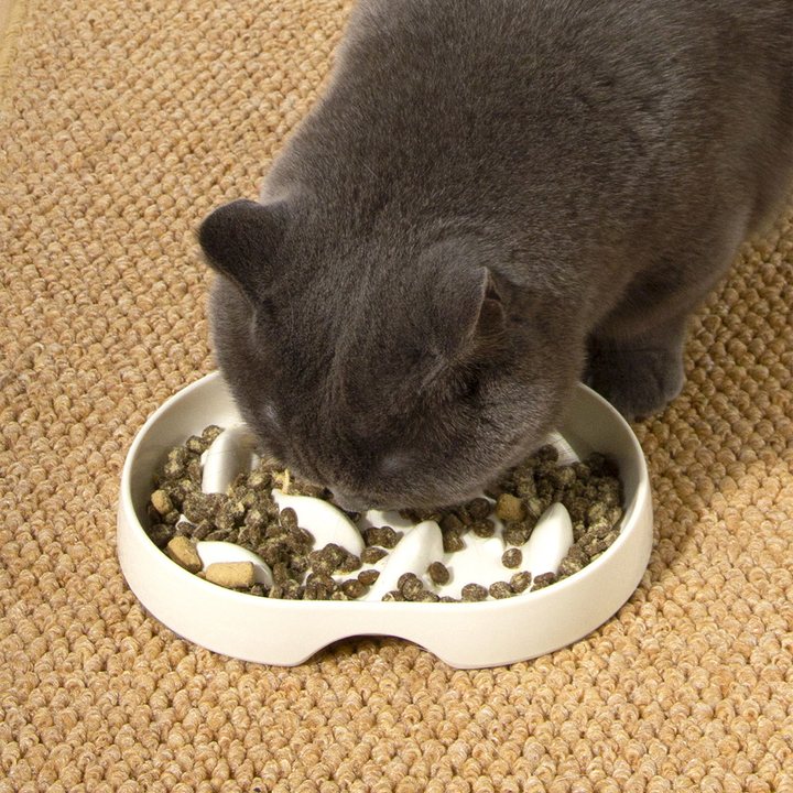 White ceramic slow-feeder pet bowl with a wave-ridge pattern, shown with a cat eating from it.