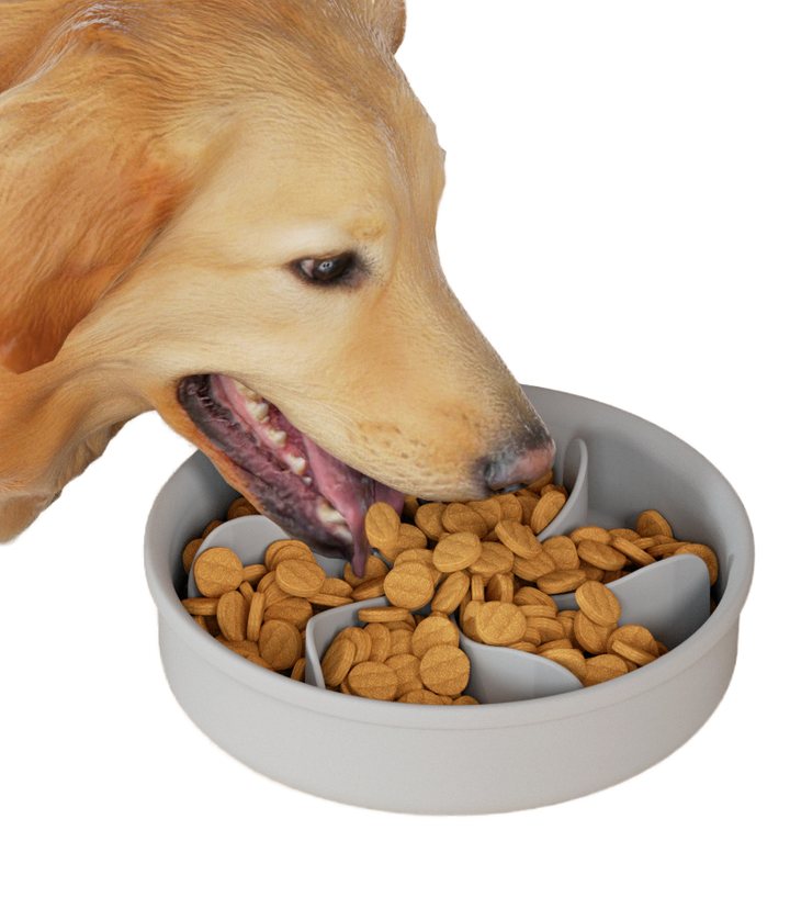 Round grey pet feeder bowl with pinwheel-shaped internal dividers.