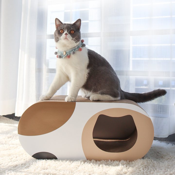 Cat standing on top of a capsule-shaped, two-tone cardboard cat scratcher house