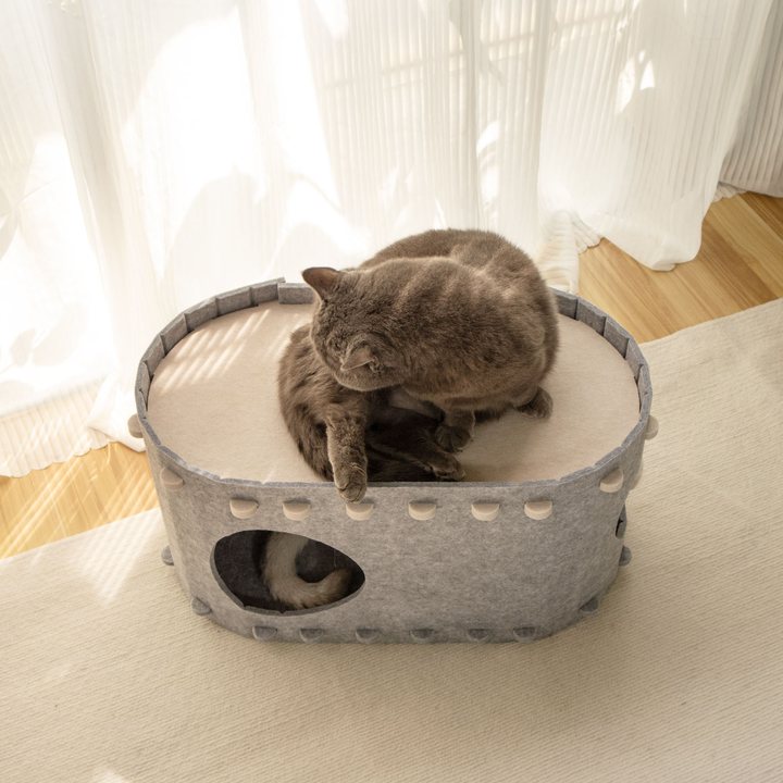 Gray felt oval cat house in a sunlit room with a cat curled on top and another cat's tail visible in the side entrance.