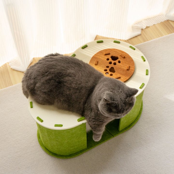 Peanut-shaped green felt cat house with a round paw-print patterned lid, top-down view