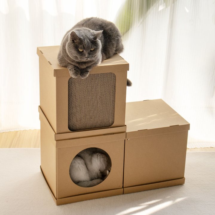 Stacked kraft cardboard cube modules forming a cat house, cat resting on top and another cat inside the round doorway