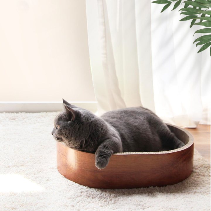 Oval cat scratcher bed with a dark wood-grain rim, shown with a cat resting inside in a home setting