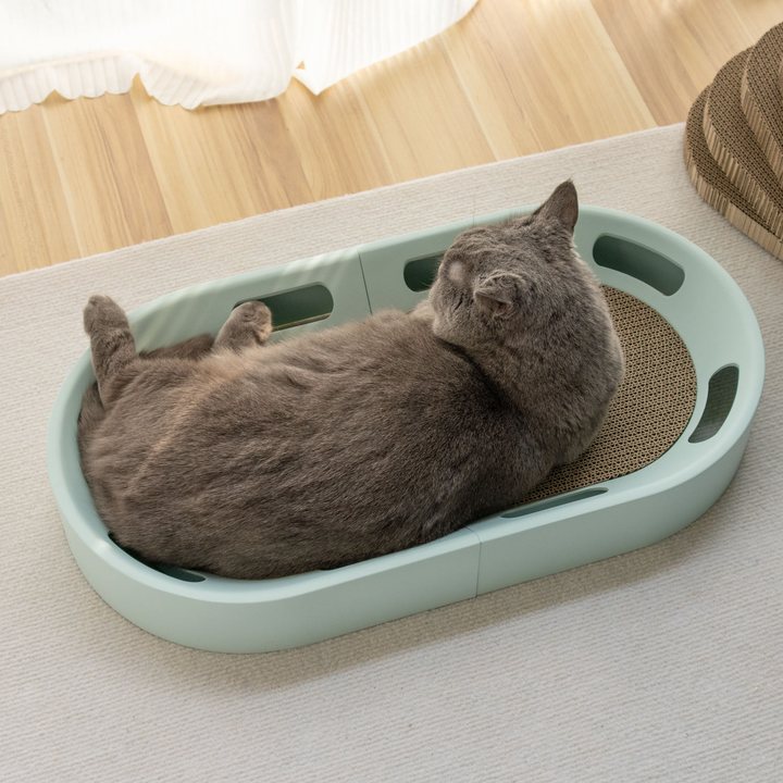 Oval cat scratcher lounge in mint green with a corrugated cardboard scratch surface.