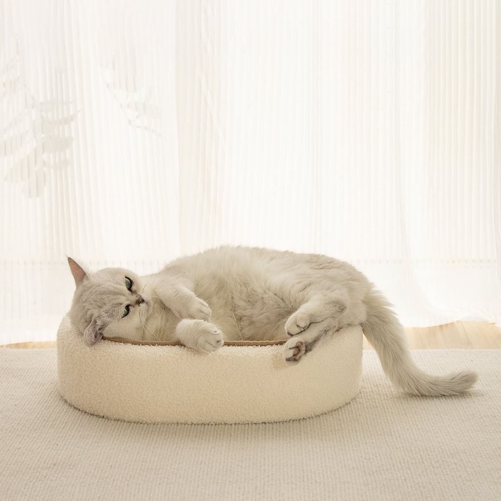 Oval cat scratcher nest with a cream padded rim, shown in a bright room with sheer curtains.
