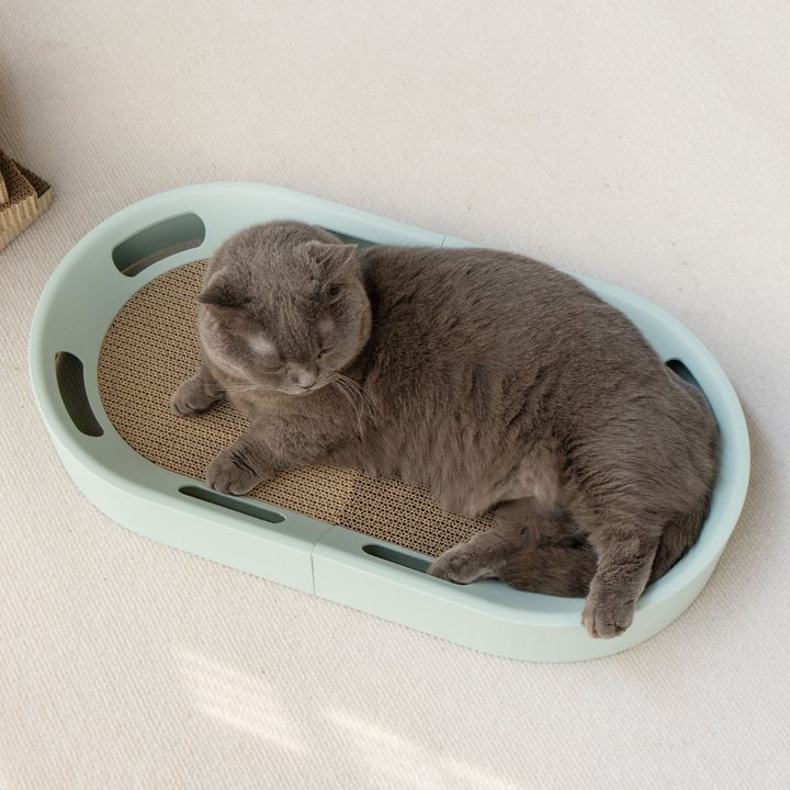 Oval pale-green cardboard cat scratcher box with cut-out side handles and a corrugated scratch pad insert