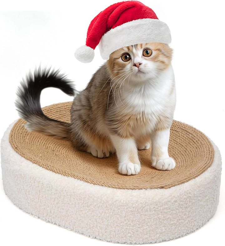 Oval woven sisal-style cat scratcher bed with a plush cream fabric rim