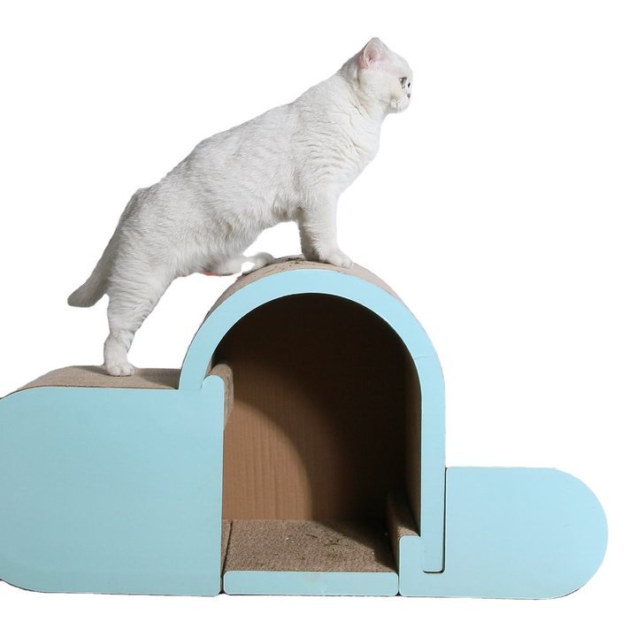Arch-shaped cardboard cat scratcher house with a light blue-green painted trim, an open den underneath, and a white cat standing on the curved roof looking to the side.
