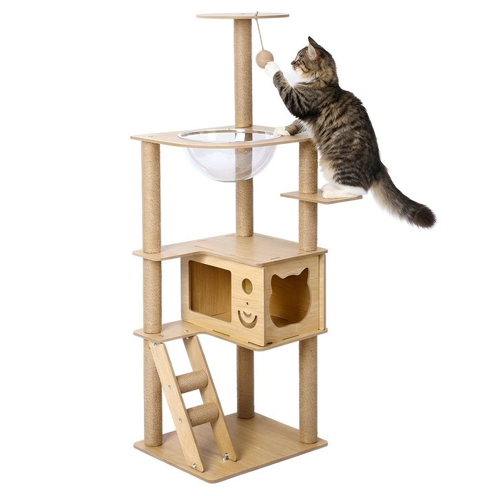 Wood cat tree with capsule bowl seat, cat reaching for a hanging ball toy at the top