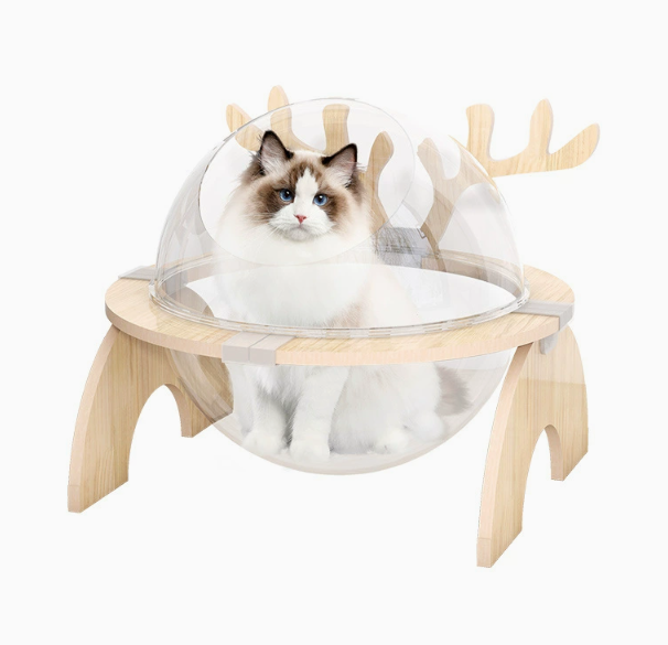 Clear capsule cat bed on a low wood-coloured support with antler-shaped uprights; a cat sits inside.